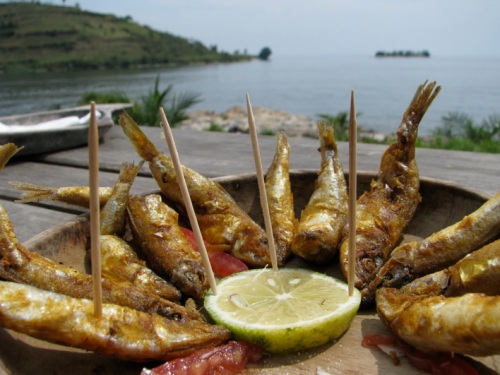 Sambazas, fish from lake Kivu, in a restaurant in Gisenyi.