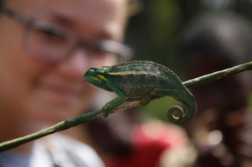 Me and a chameleon we found walking to work the other day. Pic: Harald Viken
